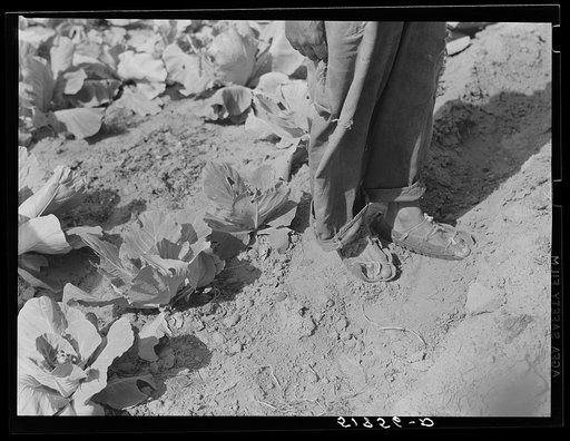 Shoes, made of old automobile tires, of Henry Mitchell, FSA (Farm Security Administration) client. Greene County, Georgia
