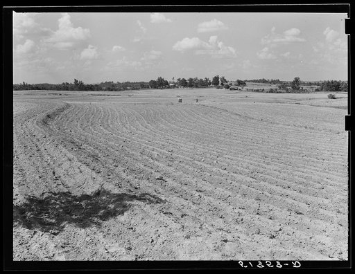 Farmland between Atlanta and Greensboro, Georgia