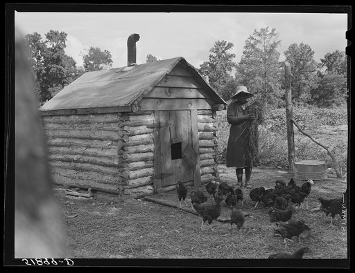 Untitled photo, possibly related to: Pauline Clyburn, rehabilitation client at Manning, Clarendon County, South Carolina, with chicken house she made herself. The window she took from her own bedroom