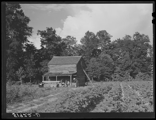 Pauline Clyburn, rehabilitation client, and some of her children at their tobacco barn. Manning, Clarendon County, South Carolina