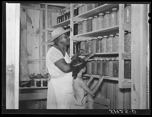 Wife of Frederick Oliver, tenant purchase client, with her canned goods in smokehouse. Summerton, South Carolina