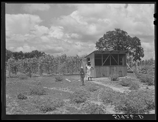 Wife and daughter of Frederick Oliver, FSA (Farm Security Administration) tenant purchase client, bringing in eggs from chicken house. Summerton, South Carolina