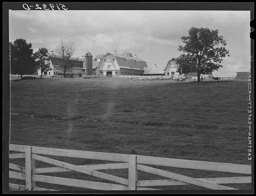 Dairy farm, North Carolina