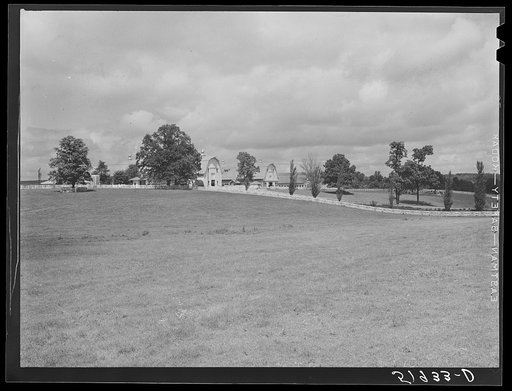 Dairy farm, North Carolina