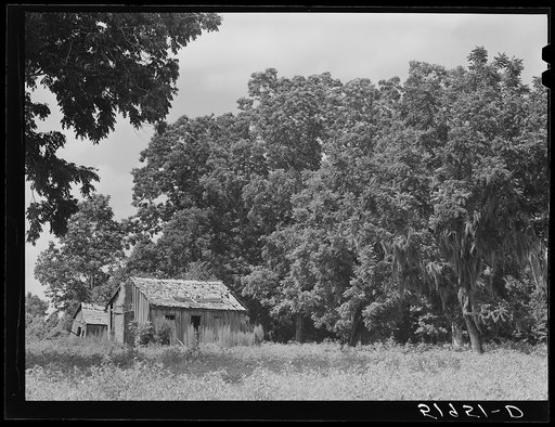 Untitled photo, possibly related to: Abandoned shacks near Beaufort, South Carolina