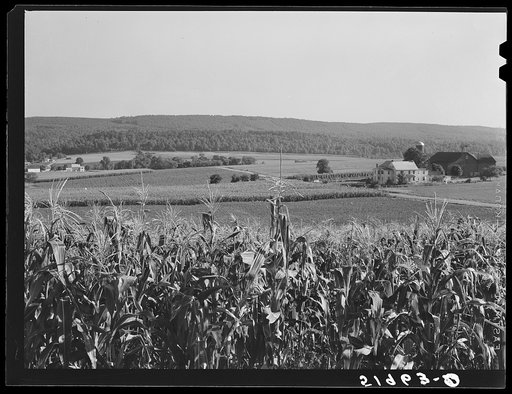 Rich farmland. York County, Pennsylvania