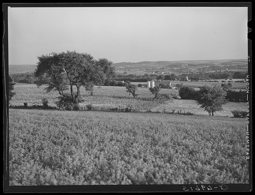 Rich farmland. York County, Pennsylvania