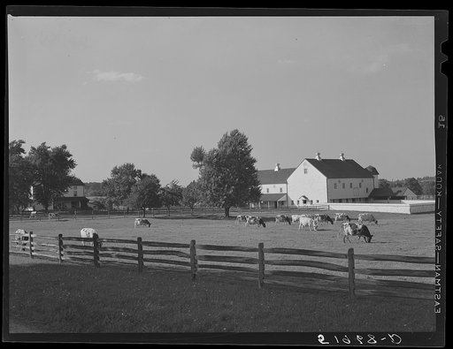 Rich farmland. Lancaster County, Pennsylvania