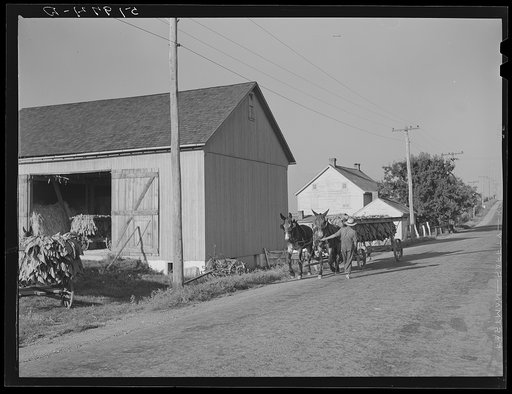 Rich farmland. York County, Pennsylvania
