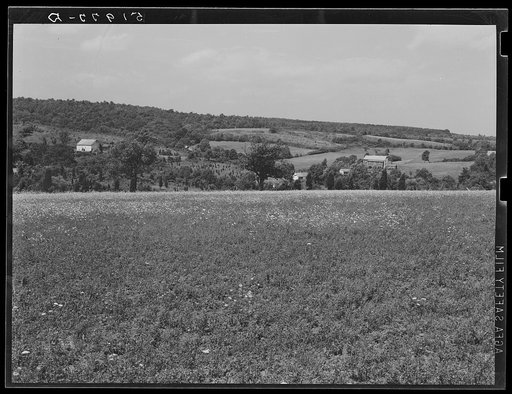 Farm in Bucks County, Pennsylvania