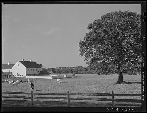 Untitled photo, possibly related to: Rich farmland. Lancaster County, Pennsylvania