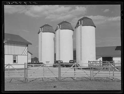 Barn and silos on rich farmland. Bucks County, Pennsylvania
