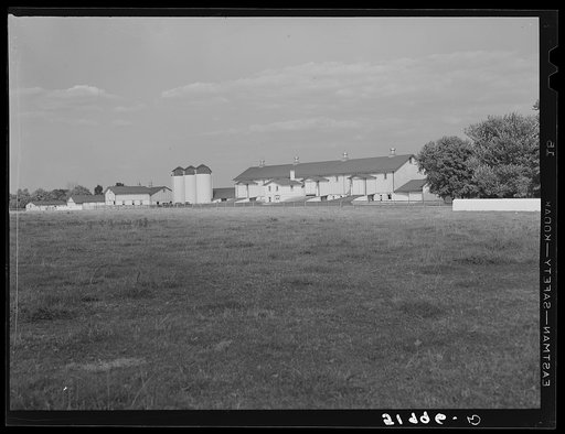 Barn and silos on rich farmland. Bucks County, Pennsylvania