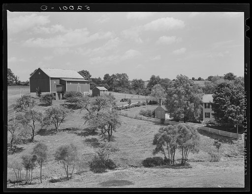Untitled photo, possibly related to: Farm in Bucks County, Pennsylvania