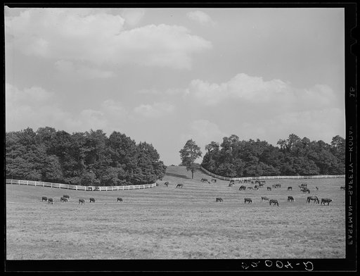 Untitled photo, possibly related to: York County farmland. Pennsylvania