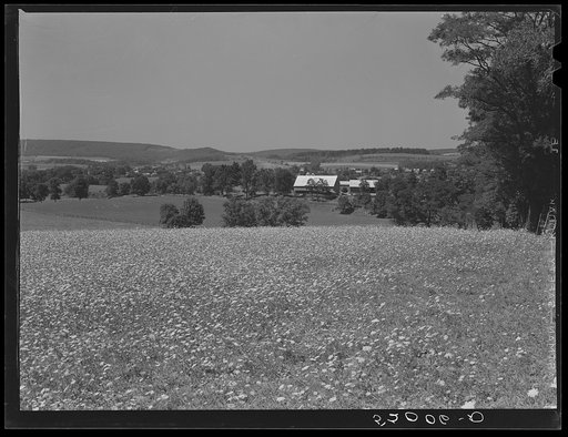 York County farmland. Pennsylvania