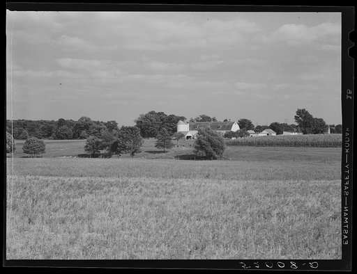 Untitled photo, possibly related to: Farm in Bucks County, Pennsylvania