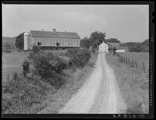 Untitled photo, possibly related to: Farm in Bucks County, Pennsylvania