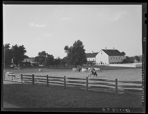 Untitled photo, possibly related to: Farm in Bucks County, Pennsylvania