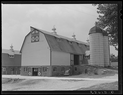Large dairy barn. York County, Pennsylvania