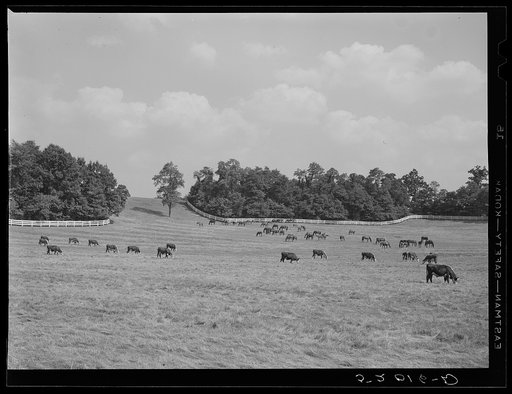 Untitled photo, possibly related to: Farmland. York County, Pennsylvania