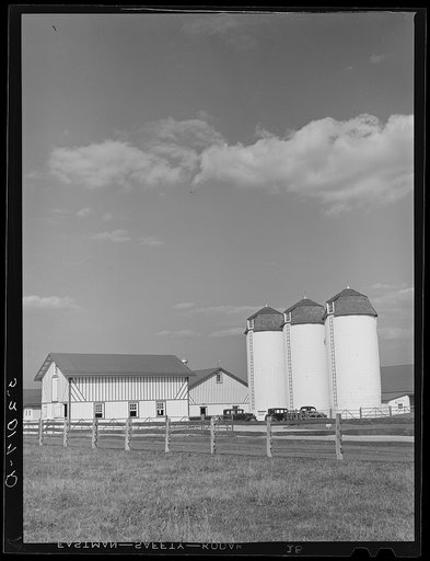 Barn and silos. Bucks County, Pennsylvania