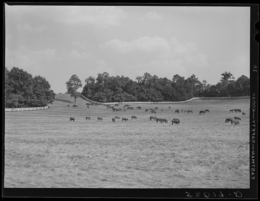 Untitled photo, possibly related to: Farmland. York County, Pennsylvania