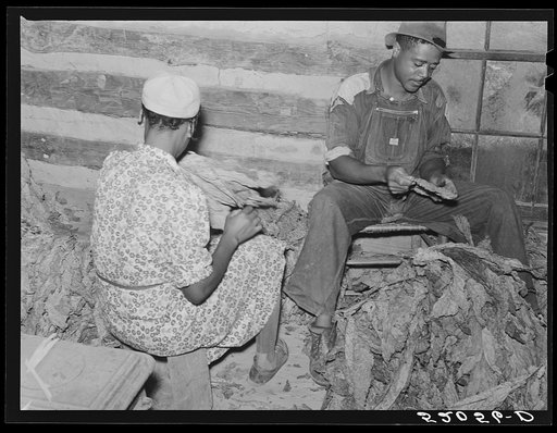 Untitled photo, possibly related to: Compton, Negro sharecropper and his wife stripping and grading tobacco. He has a Negro landlord who lives in Mebane, part of a very prosperous Negro settlement. Near Carr, North Carolina. See general notes on subregion, Sept. 28, 1939, number four