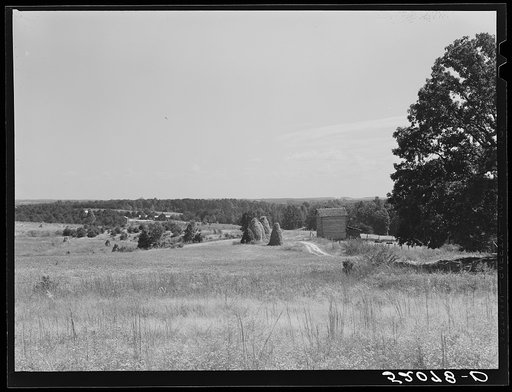 General landscape with tobacco barn. Halifax County, Virginia
