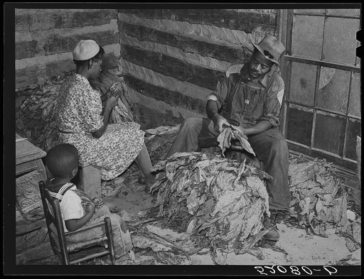 Compton, Negro sharecropper, and his wife stripping and grading tobacco. He has a Negro landlord who lives in Mebane, part of a very prosperous Negro settlement. Near Carr, North Carolina. See general notes on subregion, September 28, 1939, number four
