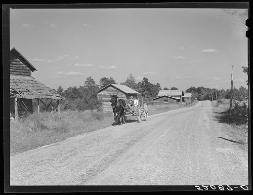 John D. Ferguson and son coming up road in wagon tobacco barns in the background. Route 57 going east from Chatham. But they live in settlement called Java, Virginia. Turn left at Baines filling station, again at store and it's a short distance to house. Pittsylvania County, Virginia