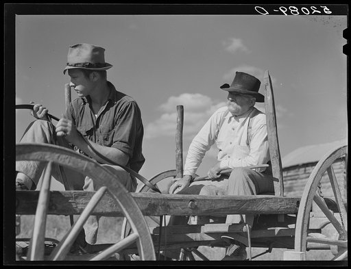 John D. Ferguson and son. Java, Virginia. Near Chatham off Route 57, Pittsylvania County. Refer to caption 52087-D