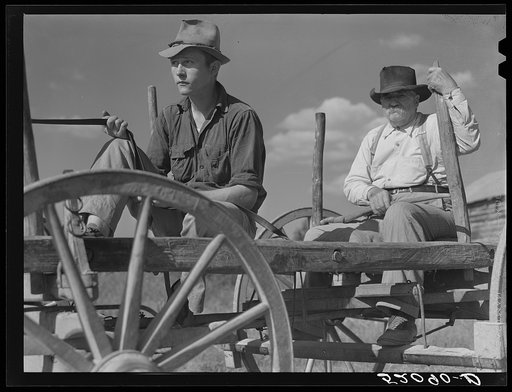 John D. Ferguson and son. Java, Virginia. Near Chatham off Route 57, Pittsylvania County. Refer to caption 52087-D