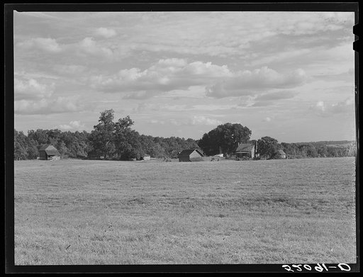 General farm landscape. Caswell County, North Carolina