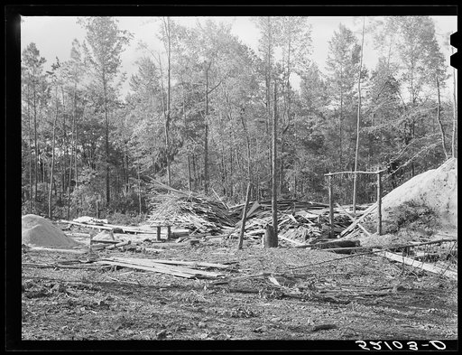 Untitled photo, possibly related to: Small abandoned sawmill, between Antioch Church and Highway 54. Southern part of Orange County, North Carolina. See general notes on subregion, Sept. 27, 1939