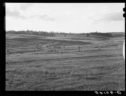 Terraced pastures, three small farms treated as unit for the purpose. Owners are Linnie Bailey, his son and son-in-law (Mr. Mann). Route 93, about four and a half miles south of Graham, Alamance County, North Carolina. See general notes on subregion, September 27, 1939. Number three