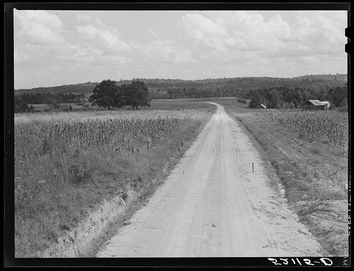 General landscape and road. Wake County, North Carolina