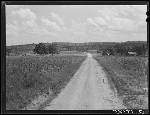 Untitled photo, possibly related to: General landscape and road. Wake County, North Carolina