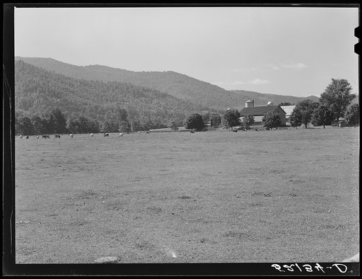 State agricultural experiment station near Black Mountain, North Carolina