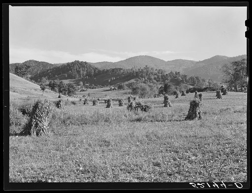 General landscape near Black Mountain, North Carolina