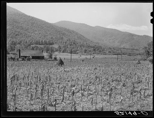 General landscape near Asheville, North Carolina