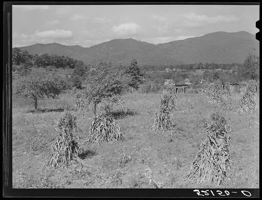 General landscape near Black Mountain, North Carolina