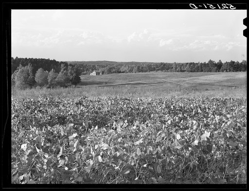 Untitled photo, possibly related to: General landscape near Asheville, North Carolina