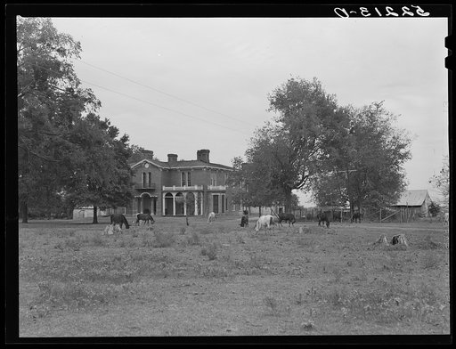 Old plantation, antebellum. Owned by Mrs. Lee. Mount Holly Plantation,  Foote. Mississippi Delta, Mississippi