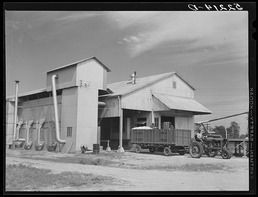 Modern gin and dryer with cotton brought in from fields by a tractor pulling large truck instead of smaller wagons. Truck holds eight bales of cotton. Hopson Plantation, near Clarksdale. Mississippi Delta, Mississippi
