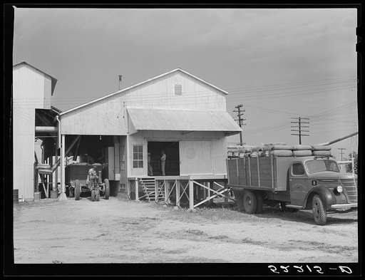 Modern gin with tractor-pulled truck of cotton and motor truck with baled cotton. Hopson Plantation near Mississippi Delta. Clarksdale, Mississippi