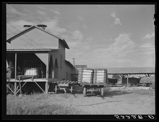Untitled photo, possibly related to: Gin with bales of cotton on truck. Knowlton Plantation, Perthshire, Mississippi Delta, Mississippi