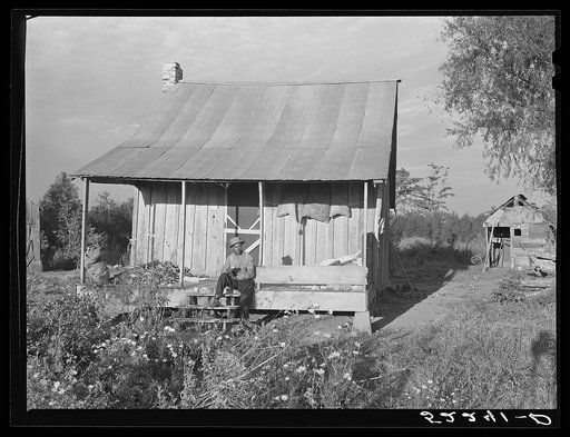 One of the tenant's houses with sweet potatoes and cotton on the porch. Knowlton Plantation, Perthshire, Mississippi Delta, Mississippi