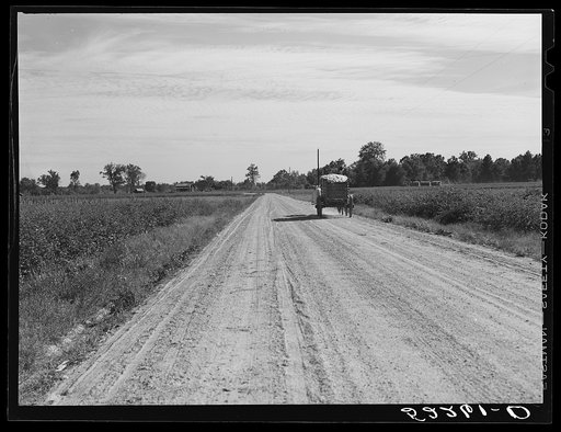 Cotton going to the gin in the evening. Marcella Plantation, Mileston, Mississippi Delta, Mississippi