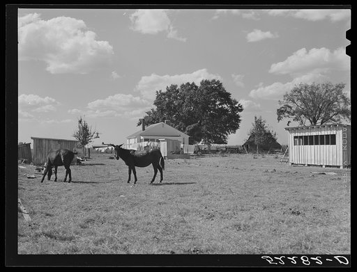 Untitled photo, possibly related to: New home of Cube Walker, Negro tenant purchase client. Belzoni, Mississippi Delta, Mississippi